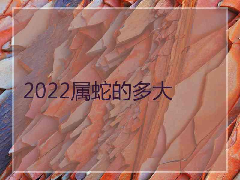 2022属蛇的多大