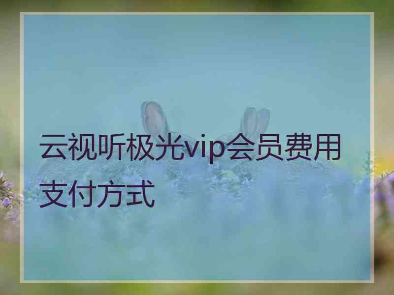 云视听极光vip会员费用支付方式