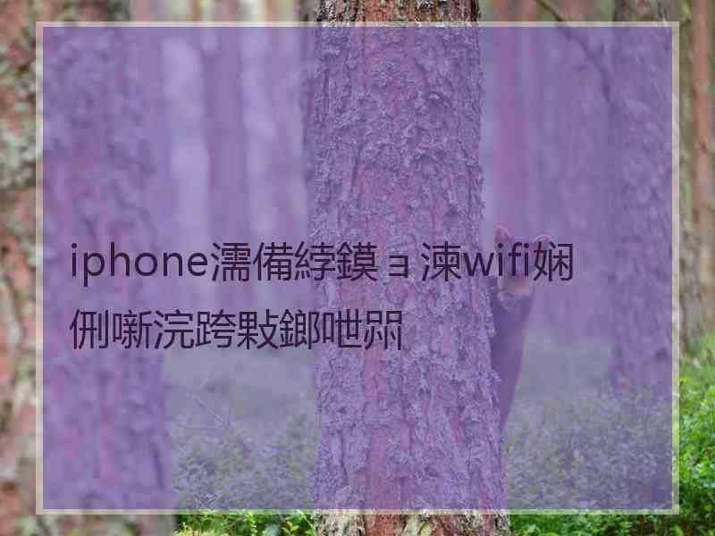 iphone濡備綍鏌ョ湅wifi娴侀噺浣跨敤鎯呭喌