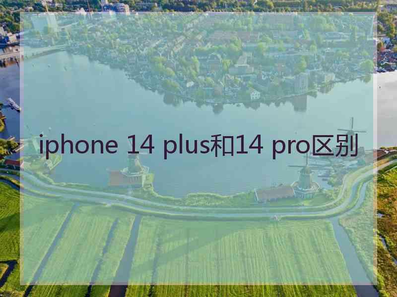 iphone 14 plus和14 pro区别