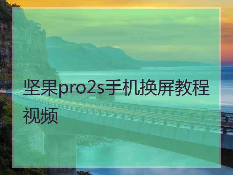 坚果pro2s手机换屏教程视频