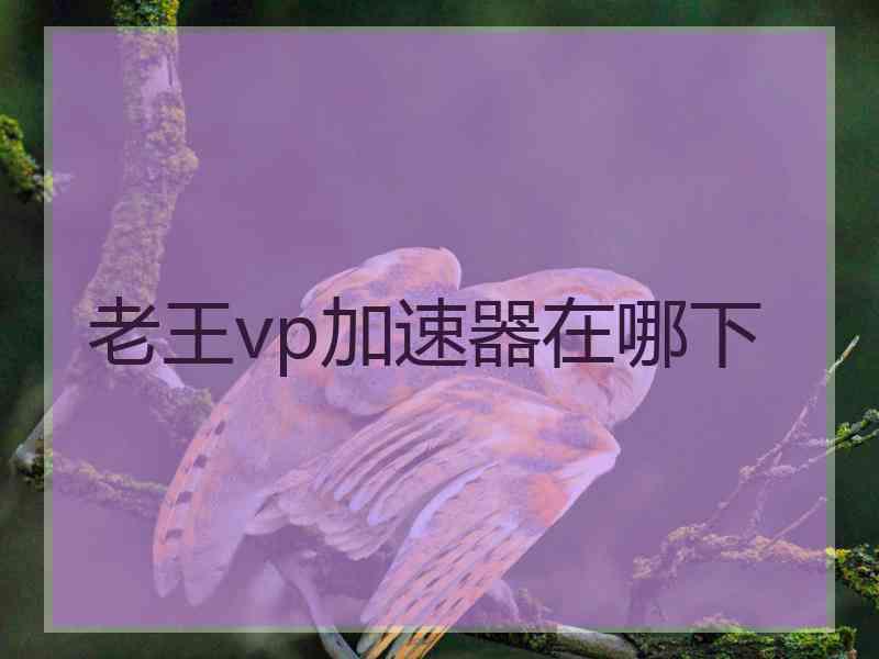 老王vp加速器在哪下