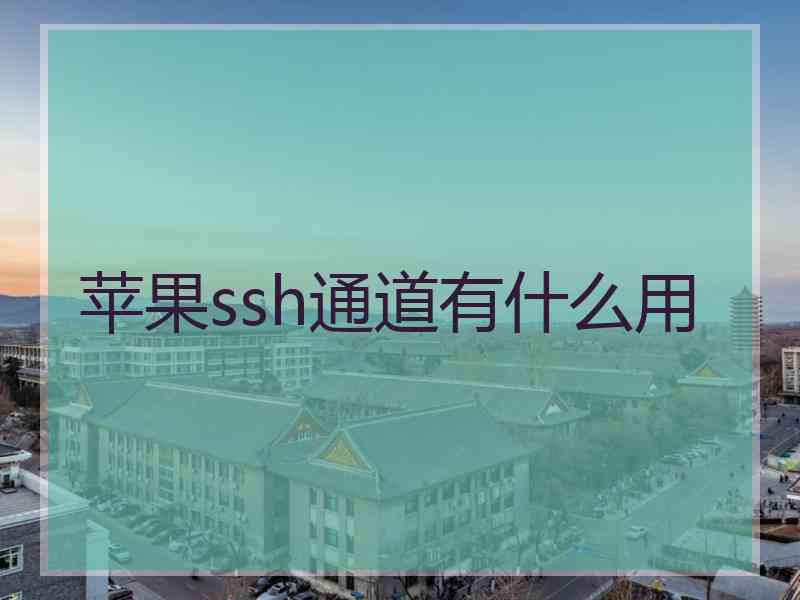 苹果ssh通道有什么用