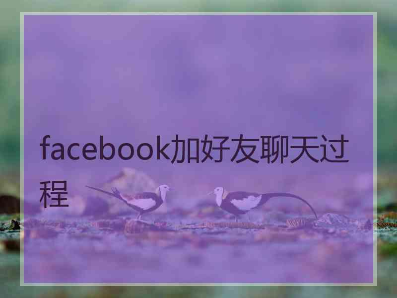 facebook加好友聊天过程