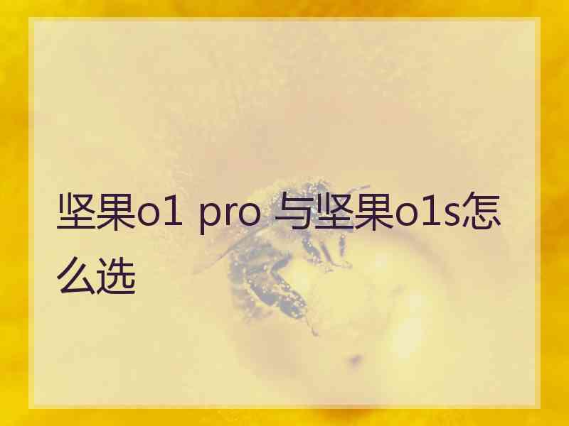 坚果o1 pro 与坚果o1s怎么选