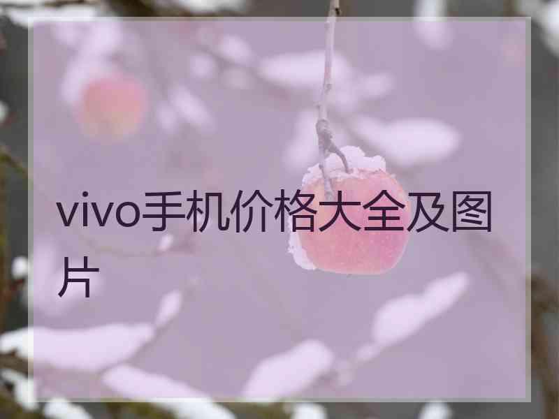 vivo手机价格大全及图片