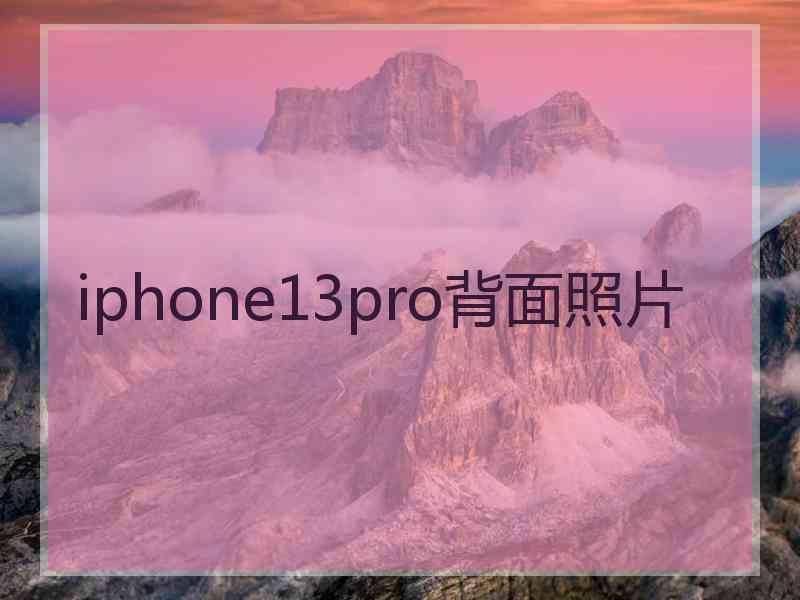 iphone13pro背面照片