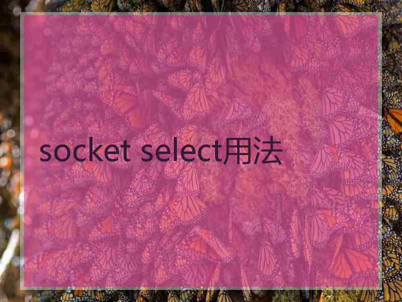 socket select用法