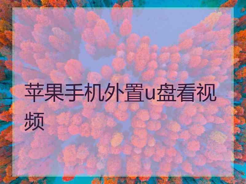 苹果手机外置u盘看视频