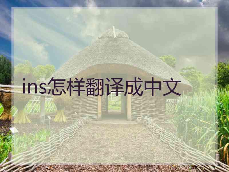 ins怎样翻译成中文