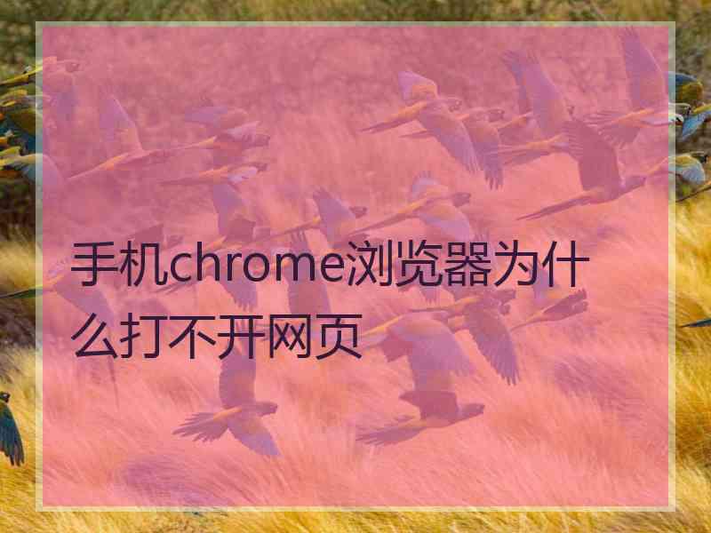 手机chrome浏览器为什么打不开网页