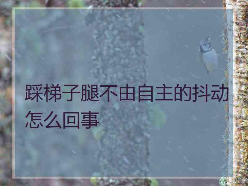 踩梯子腿不由自主的抖动怎么回事