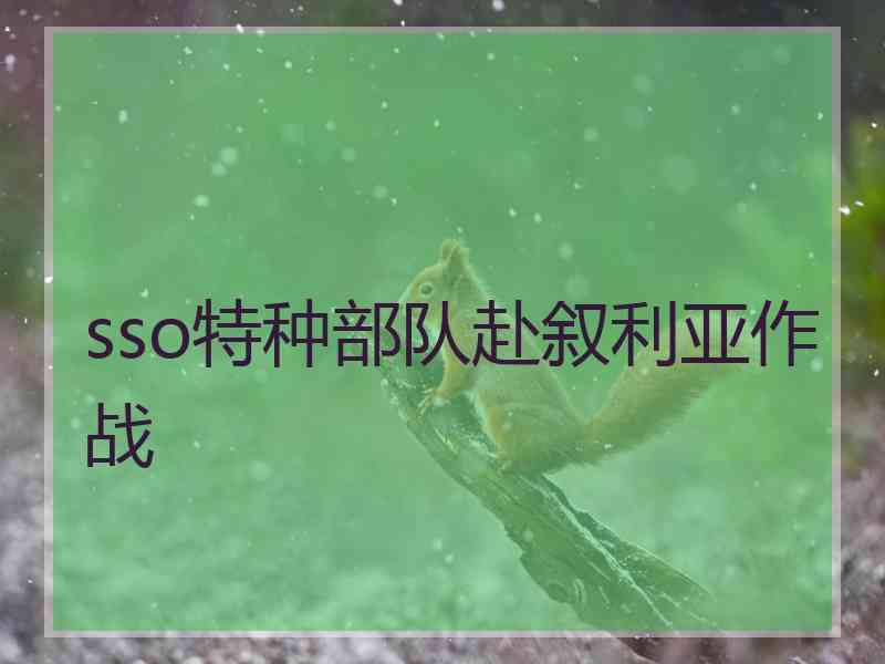 sso特种部队赴叙利亚作战