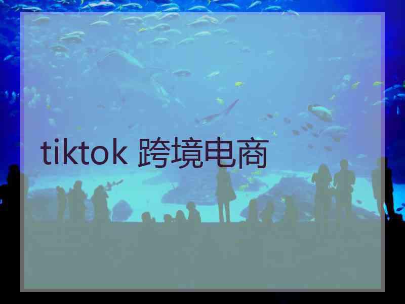 tiktok 跨境电商