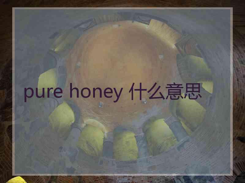 pure honey 什么意思