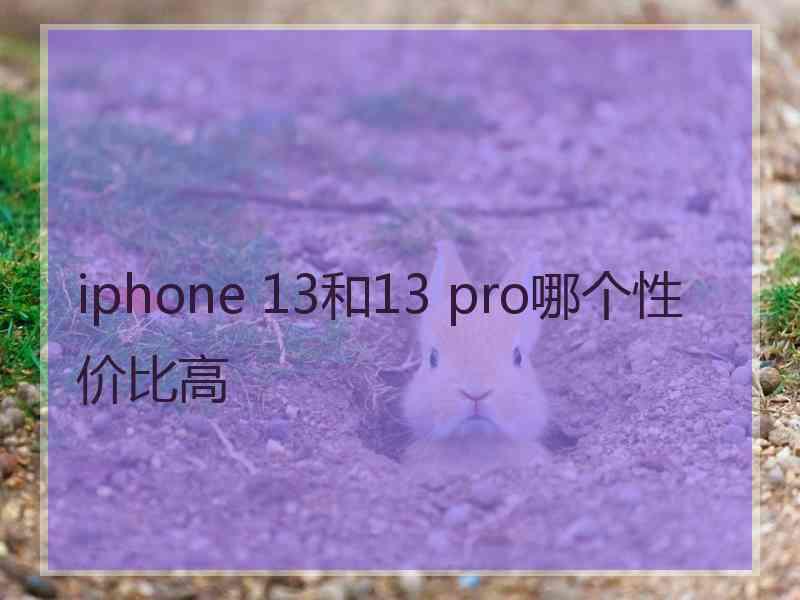 iphone 13和13 pro哪个性价比高