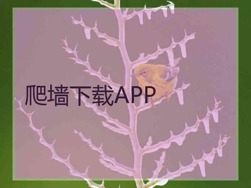 爬墙下载APP