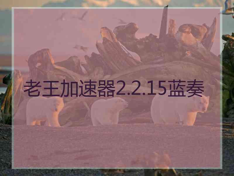 老王加速器2.2.15蓝奏