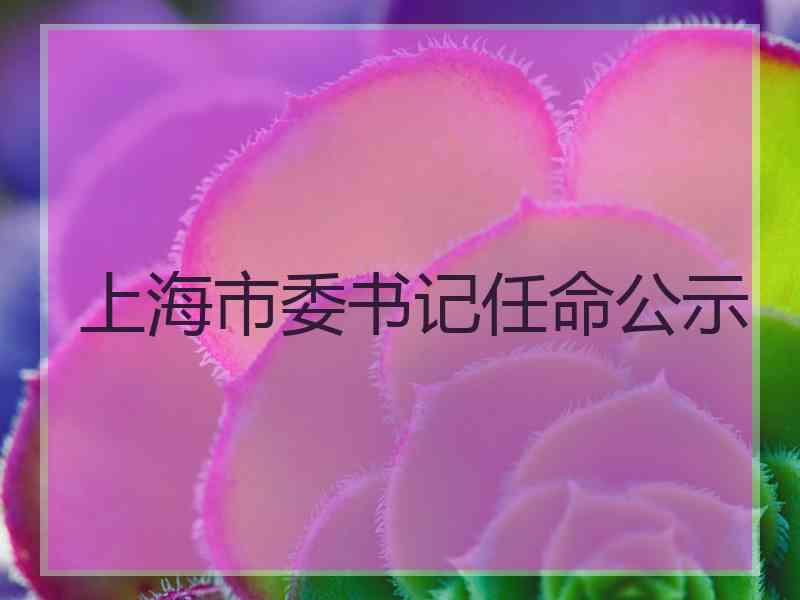 上海市委书记任命公示