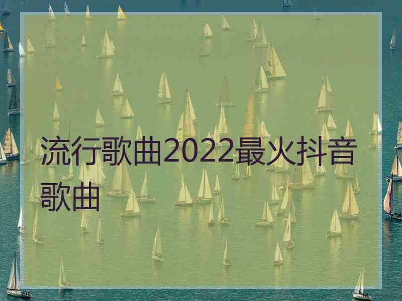 流行歌曲2022最火抖音歌曲