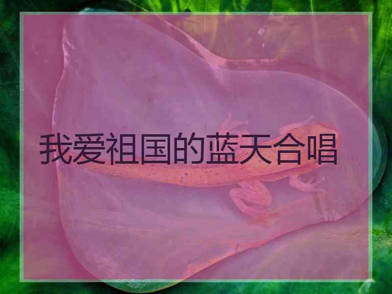 我爱祖国的蓝天合唱