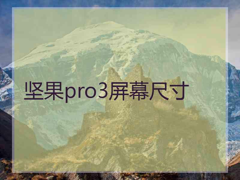 坚果pro3屏幕尺寸