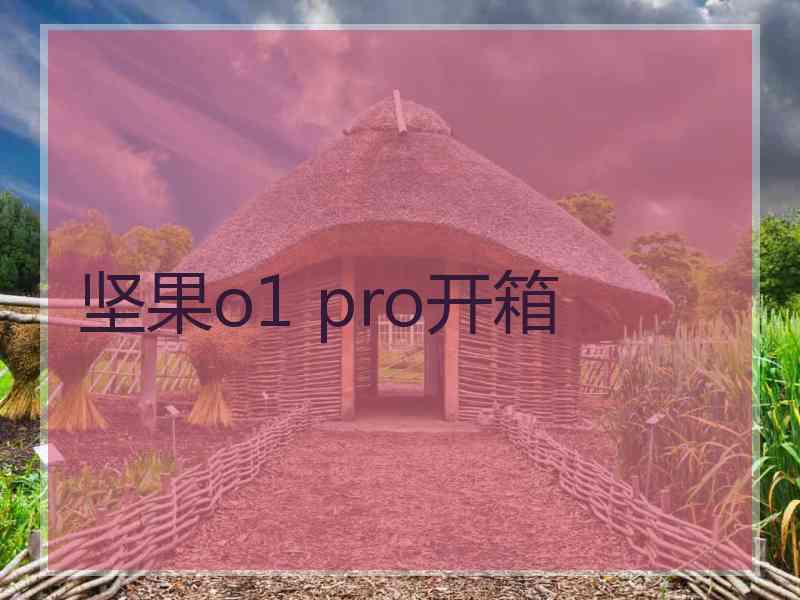 坚果o1 pro开箱