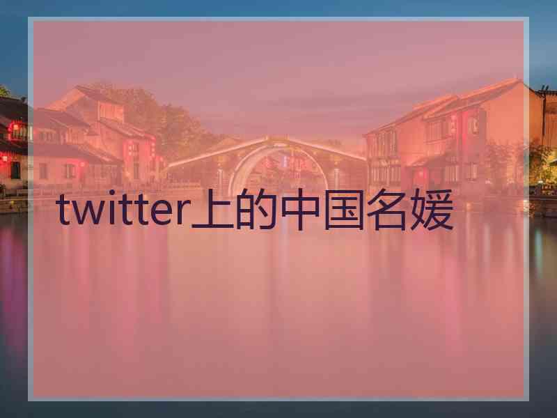 twitter上的中国名媛