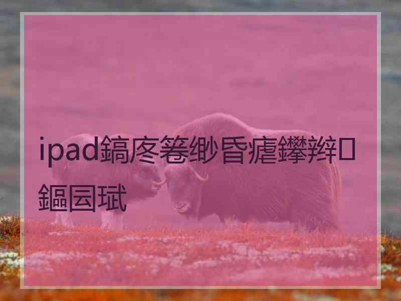 ipad鎬庝箞缈昏瘧鑻辫鏂囩珷