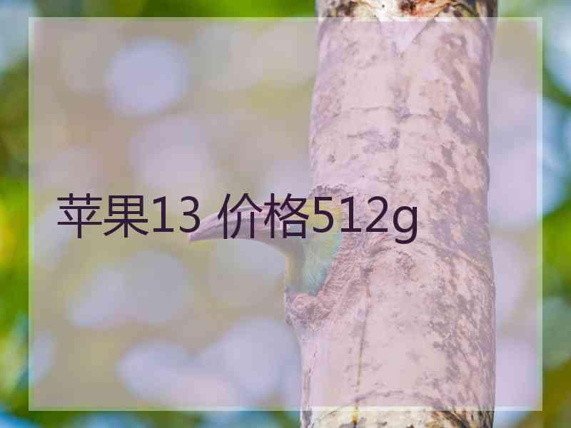 苹果13 价格512g