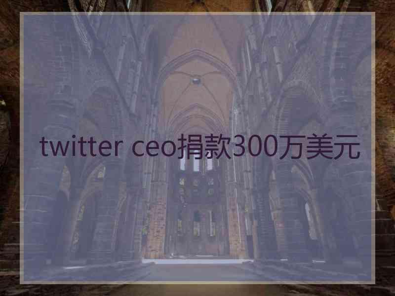 twitter ceo捐款300万美元