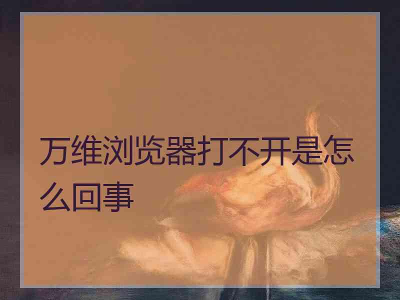 万维浏览器打不开是怎么回事