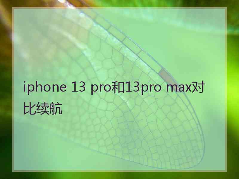 iphone 13 pro和13pro max对比续航