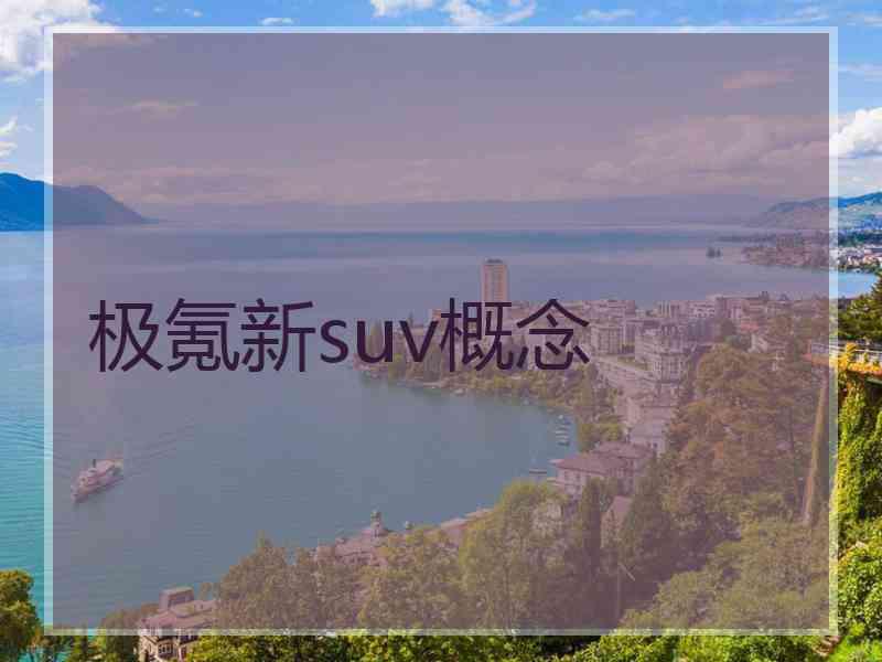 极氪新suv概念