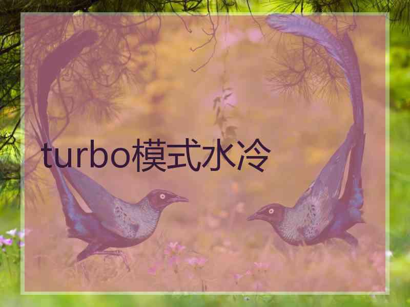 turbo模式水冷