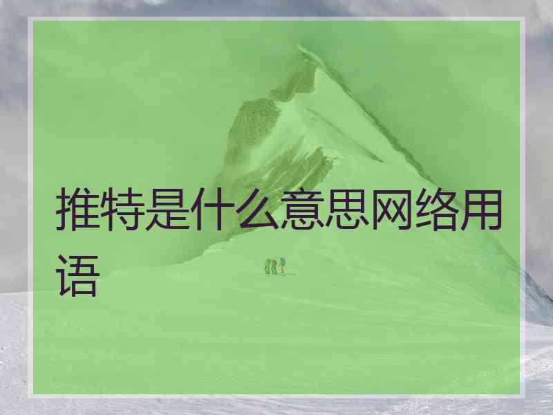 推特是什么意思网络用语