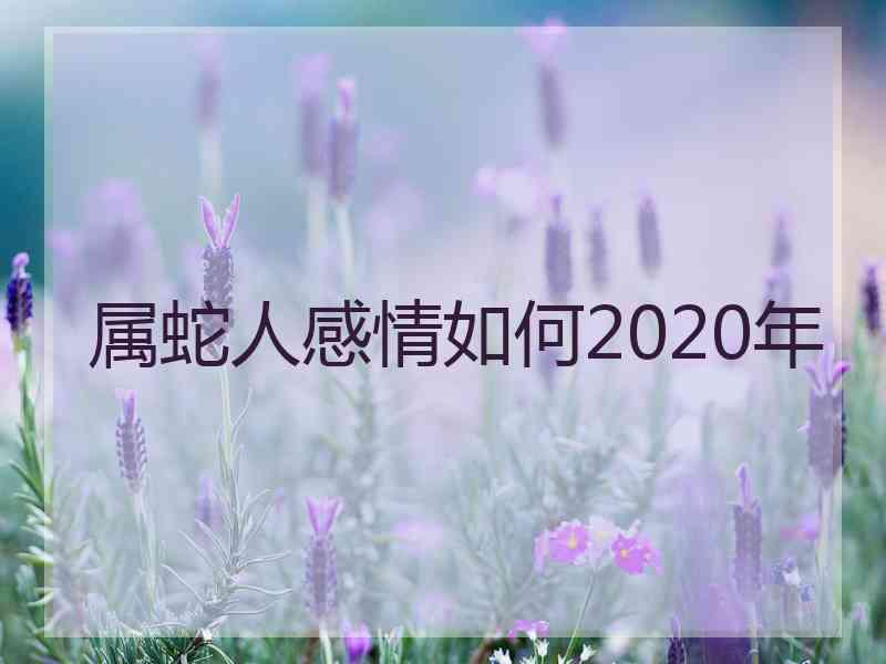 属蛇人感情如何2020年