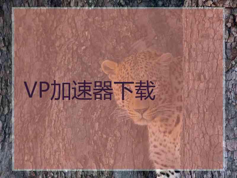 VP加速器下载