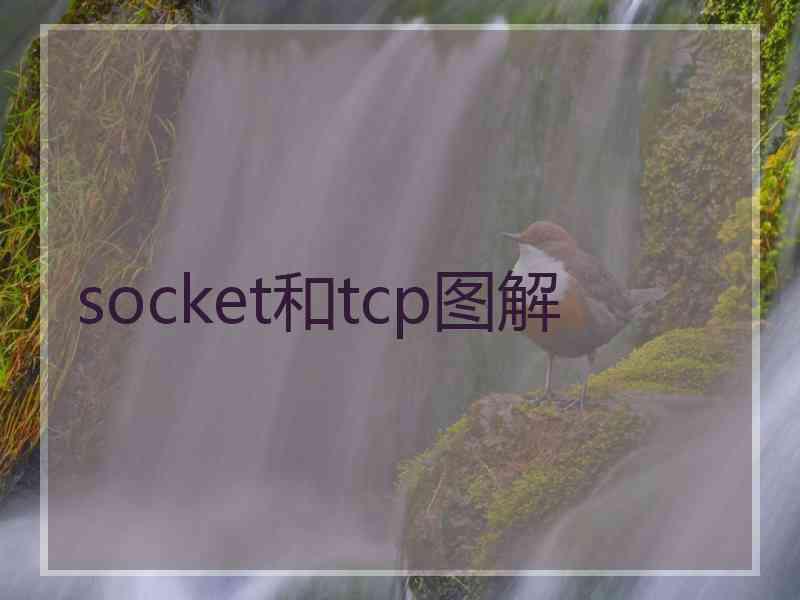 socket和tcp图解