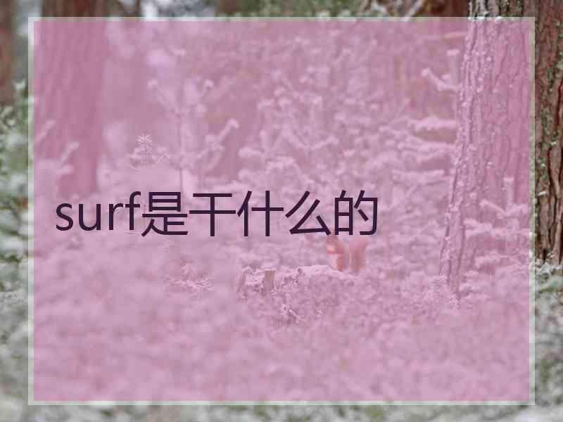 surf是干什么的