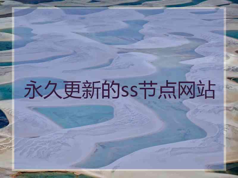 永久更新的ss节点网站