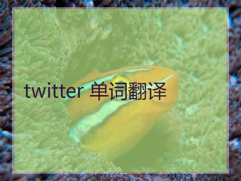 twitter 单词翻译