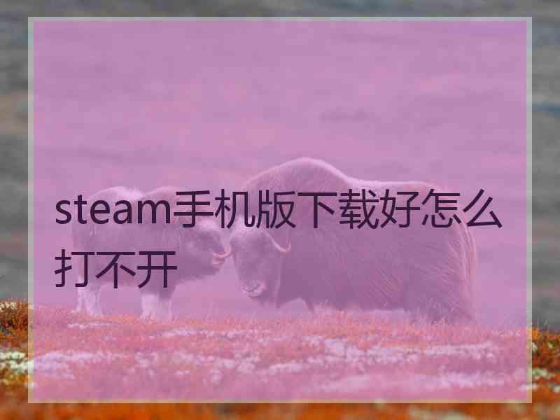 steam手机版下载好怎么打不开