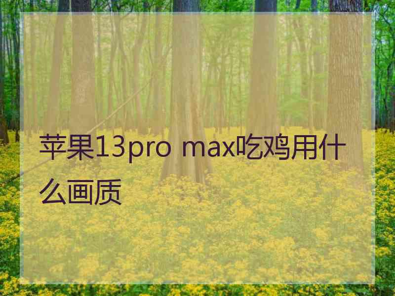 苹果13pro max吃鸡用什么画质