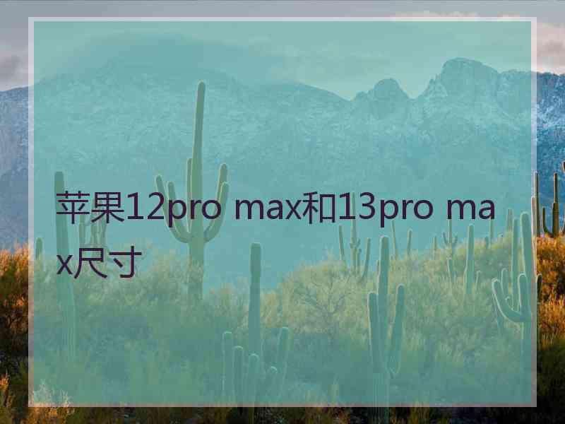 苹果12pro max和13pro max尺寸