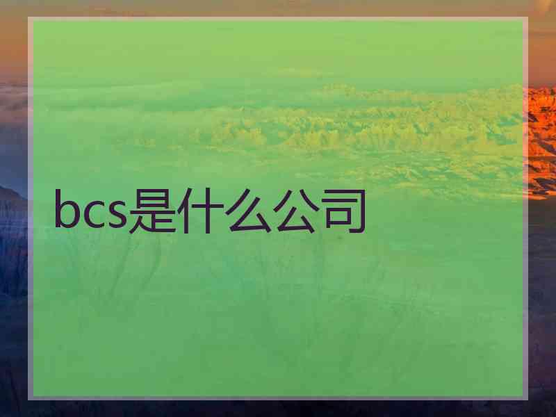 bcs是什么公司