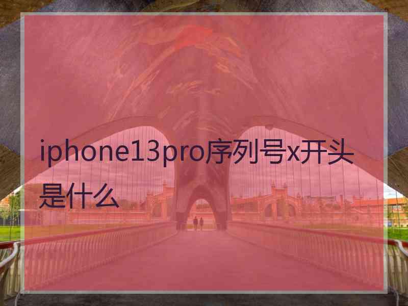 iphone13pro序列号x开头是什么