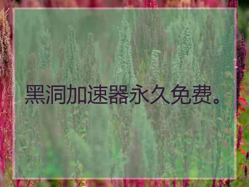 黑洞加速器永久免费。