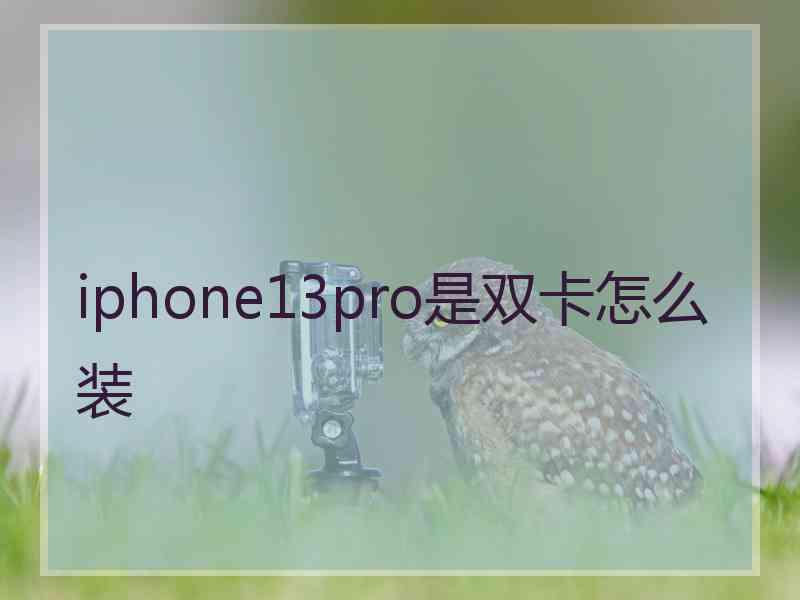 iphone13pro是双卡怎么装