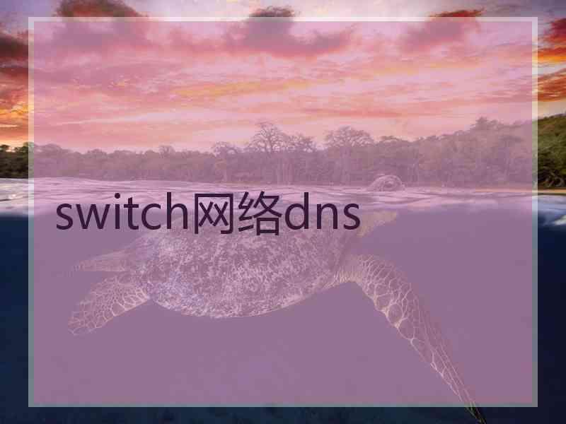 switch网络dns